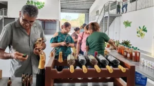 Marango impulsa el emprendimiento con innovación y valor