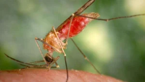 Situación epidemiológica al sábado 20 de junio 2026