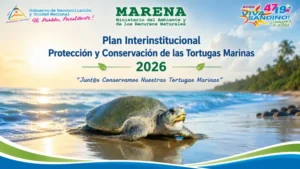 Protección de las tortugas marinas y sus hábitats naturales