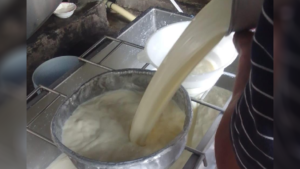 Sector lácteo registra 146.4 millones de galones de leche hasta mayo de 2026