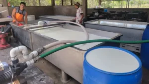 Acopio de Leche Mayo 2026