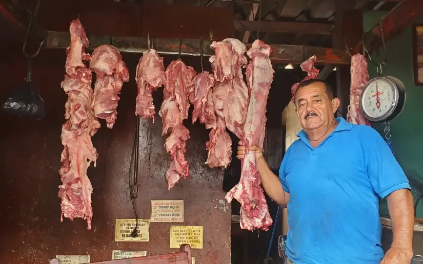 cerdo