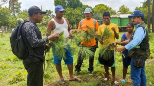 Capacitación en semillas forestales en Waspam