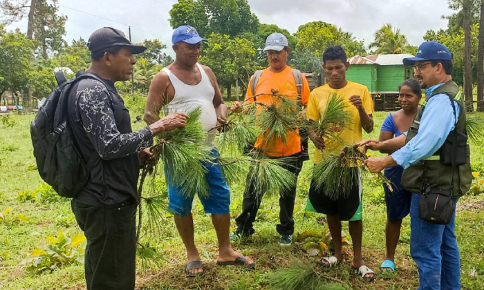 Capacitación en semillas forestales en Waspam