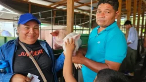 Tecnología biológica impulsa la producción porcina