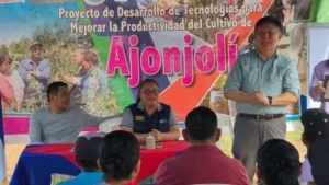 Innovaciones Tecnológicas en la Producción de Ajonjolí