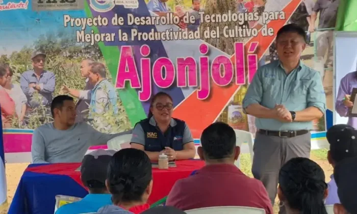 Innovaciones Tecnológicas en la Producción de Ajonjolí
