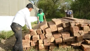 Exportaciones forestales