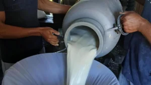 Acopio de leche alcanzó 89.1 millones de galones en plantas lácteas en junio de 2026