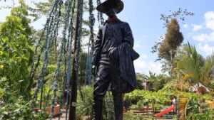 Actividades de celebración del 37 aniversario del municipio Rancho Grande