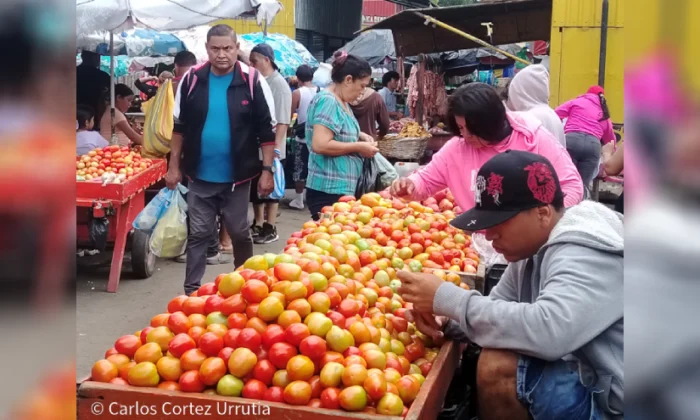 Canasta básica mantiene estabilidad en 17 productos