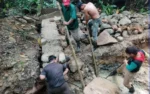 Comunidad de Mukuswas