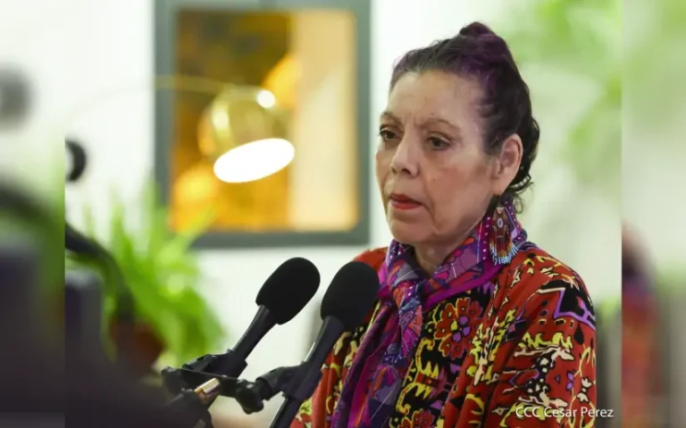 Declaraciones de Compañera Rosario