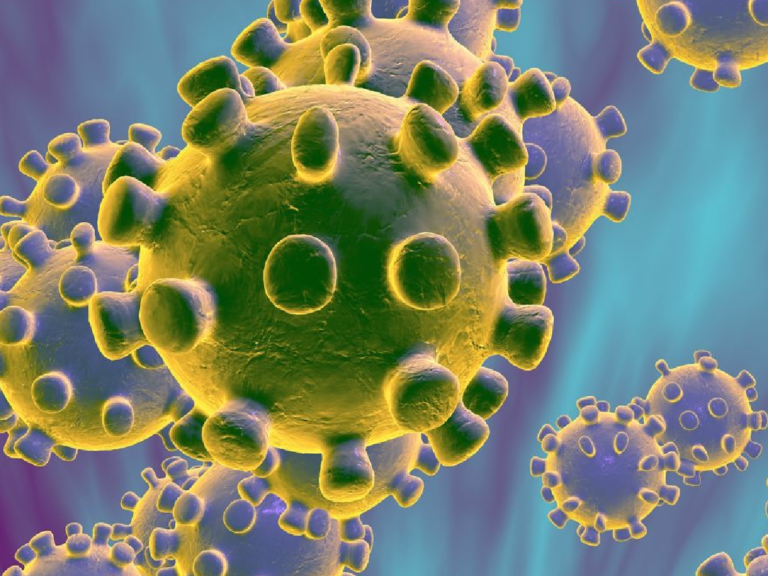 Coronavirus