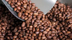 Declaran el 13 de noviembre Día Nacional del Café