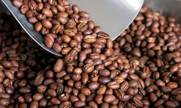 Declaran el 13 de noviembre Día Nacional del Café