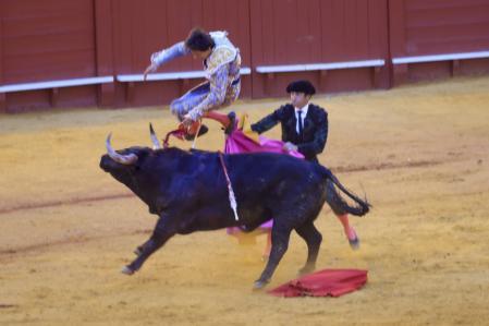 Torero