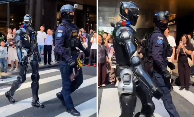 robot