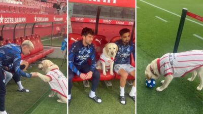 La bienvenida más dulce del fútbol llega desde el Girona