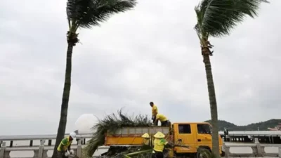 El poderoso tifón Bavi amenaza a China y Taiwán