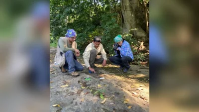 Comunidad campesina ayudan a localizar antiguas huellas de dinosaurios