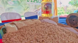 MAG impulsa nuevas tecnologías para producir más ajonjolí