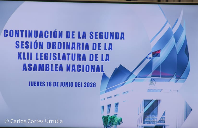 Ley