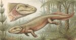 fósil de hace 345 millones de años