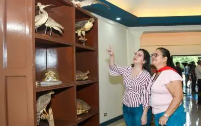 Universidad Casimiro Sotelo inaugura museo académico para ingenierías