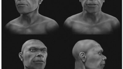 Así era el rostro del Homo sapiens hace 315 mil años