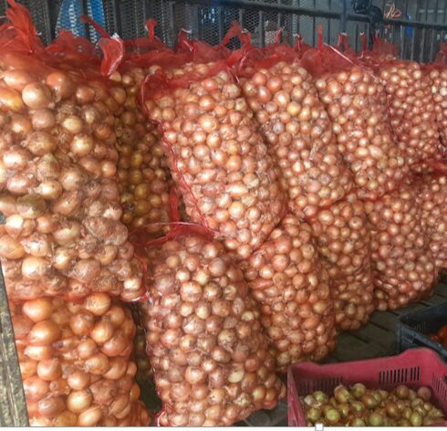 Cebolla