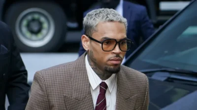 Chris Brown pagará $13 millones por ataque de su perro