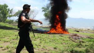 Incineran droga incautada en Río San Juan