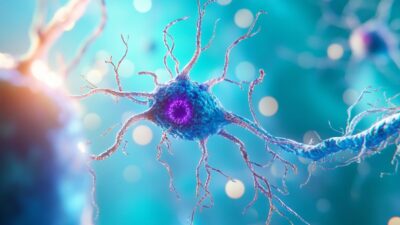 La ciencia redefine cómo prevenir el envejecimiento cerebral