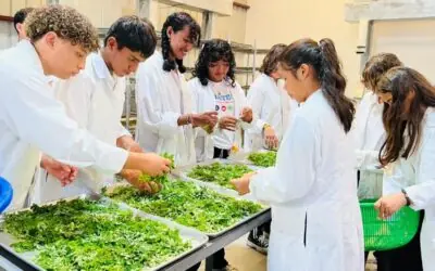 Desarrollo de Moringa genera capacitaciones a protagonistas