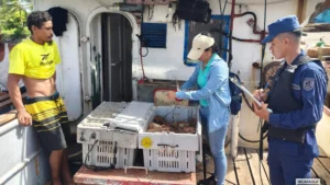 Protección, seguridad e inspección a embarcaciones y flota pesquera industrial en Nicaragua