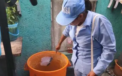 Jornadas de Lucha Antiepidémica continúa en los barrios de Managua