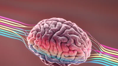 Descubren diferencia clave que podría redefinir el alzhéimer