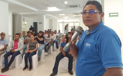 INTA capacita sobre manejo de la vaca caída después del parto