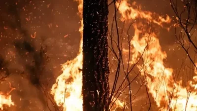 ​Francia detiene a más de 400 personas implicados en la ola de incendios forestales