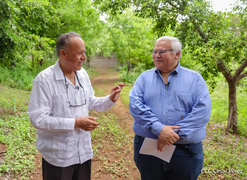 INFORME PASTRAN TV