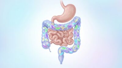 Nuevo estudio revela el papel de una proteína en la expansión del cáncer colorrectal