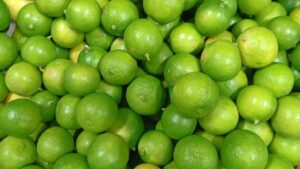 Producción de cítricos alcanza 23.6 millones de unidades entre enero y mayo de 2026