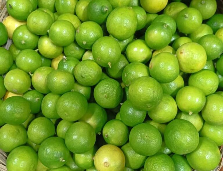 cítricos