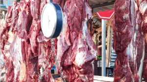 Nicaragua reporta producción de carne bovina a mayo de 2026
