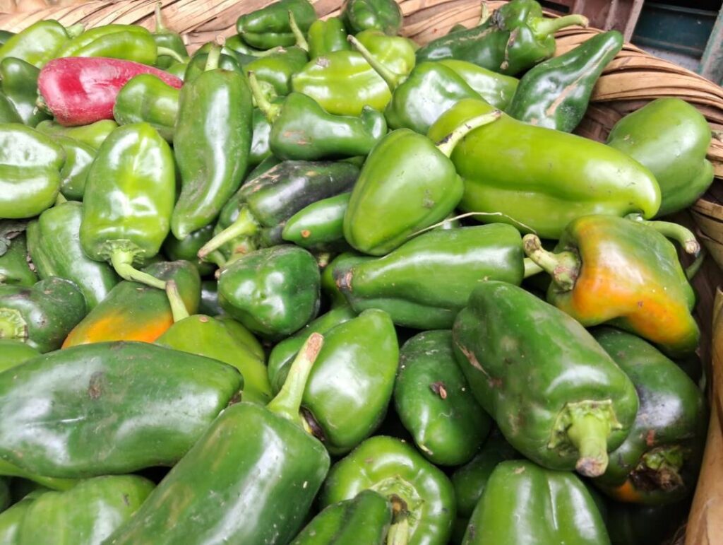 Producción nacional de chiltoma