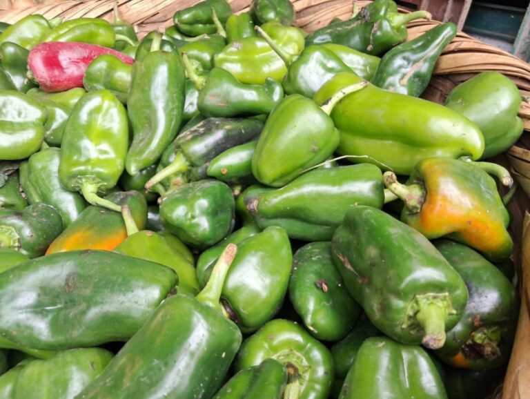 Producción nacional de chiltoma