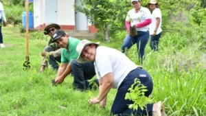 Impulsan jornada de reforestación en la Península de Chiltepe