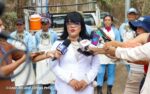 MINSA