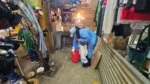 dengue